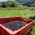 WhatsApp Image 2025-10-01 at 06.07.09_e7bc73f2