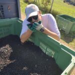 WhatsApp Image 2025-10-01 at 06.08.45_a1243c7f