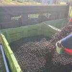 WhatsApp Image 2025-10-01 at 06.08.48_ea9e2b5c