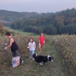 WhatsApp Image 2025-10-01 at 06.08.51_8782486d