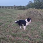 WhatsApp Image 2025-10-01 at 06.08.51_e6832371